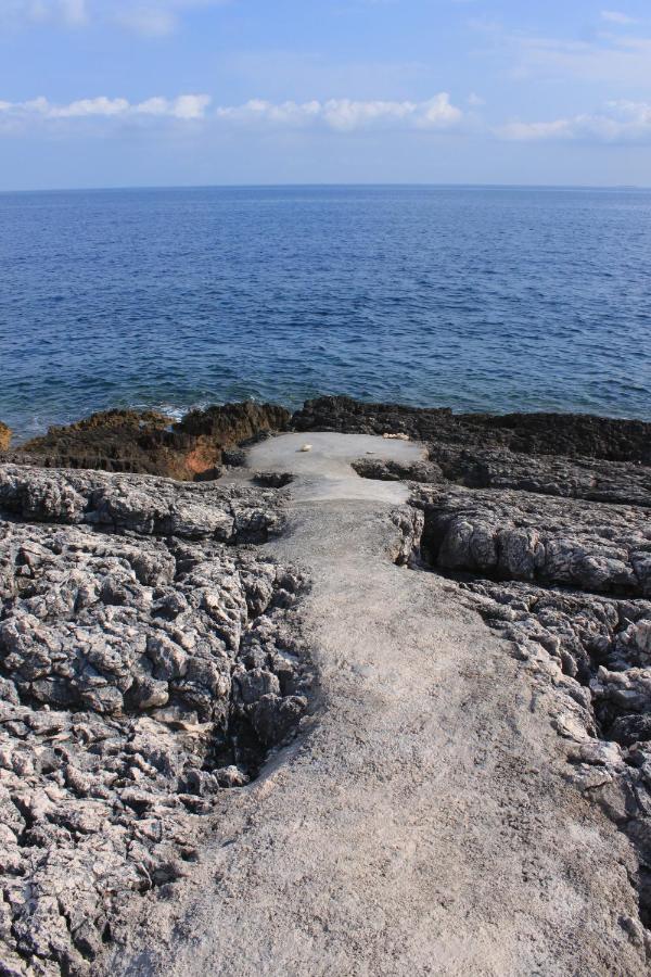 Apartments By The Sea Zavalatica, Korcula - 247 מראה חיצוני תמונה